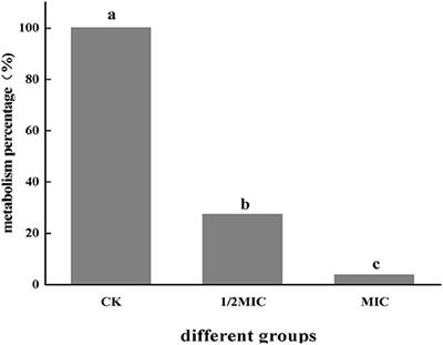 Effects of cinnamon essential oil on the physiological metabolism of Salmonella enteritidis